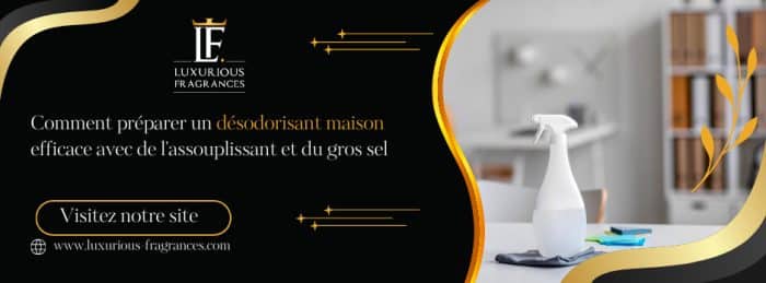Desodorisant Avec Soupline Et Gros Sel
