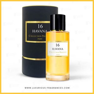 Havana n°16 – Collection Prestige Paris