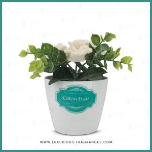 Fleurs de maison Coton frais - Mosco Paris