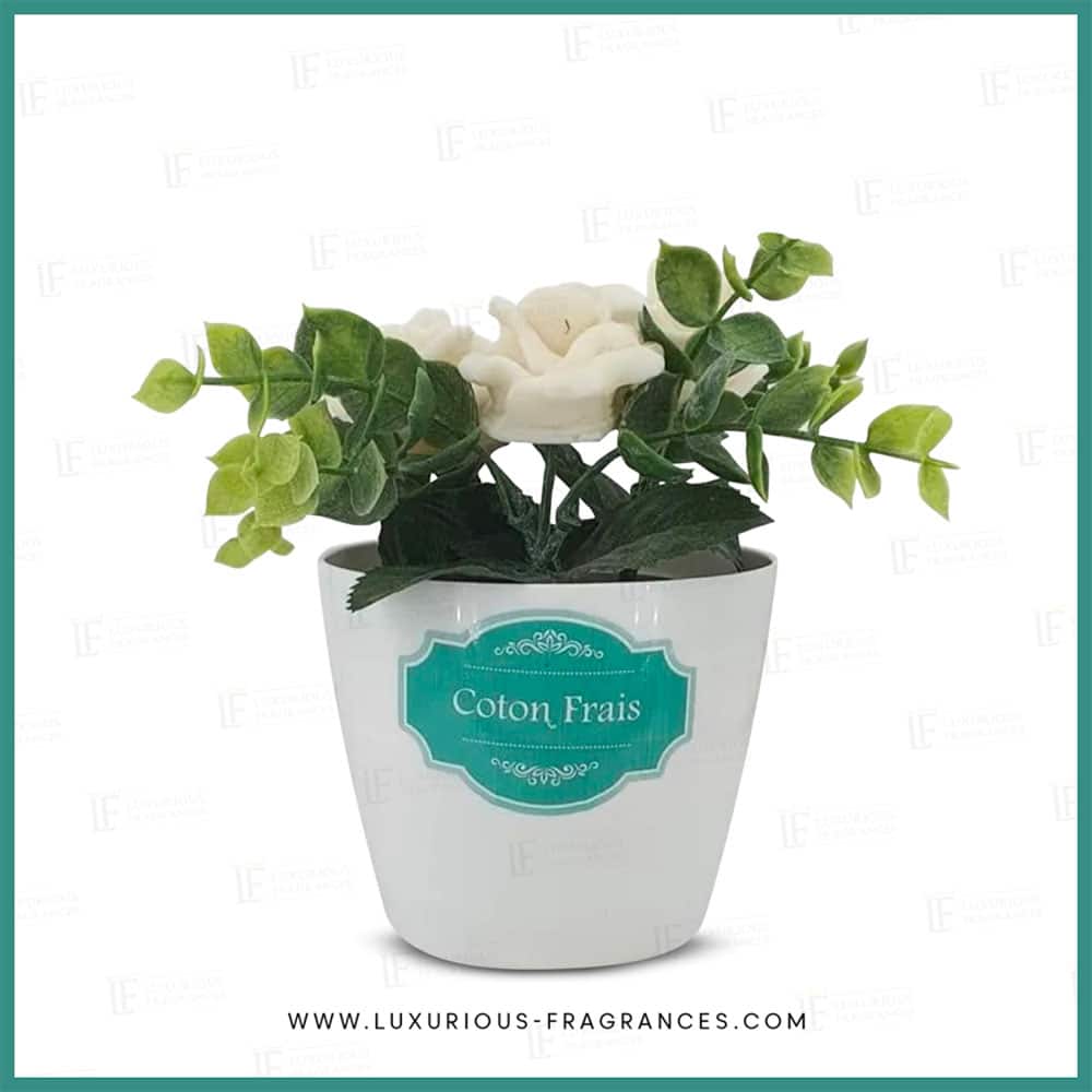 Fleurs de maison Coton frais - Mosco Paris