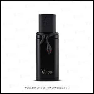 Vulcan Black Friday de French Avenue - Extract de parfum masculin misterios - 100 ml