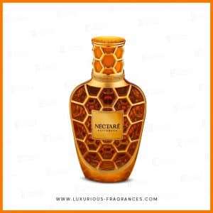 Nectaré Extradose de French Avenue - Eau de parfum mixte mielleuse - 90ml