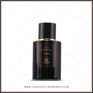 Oud Ambrosia by Maison Manël Paris - Mixed Perfume Extract - 50 ml