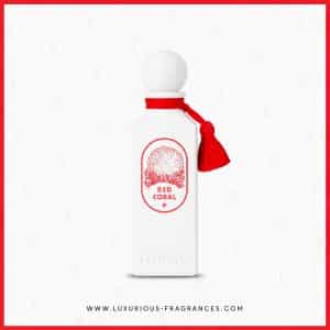 Red Coral, de Ibrahim Al Qurashi (Ibraq) - Extrato de perfume de nicho unissexo - 100 ml