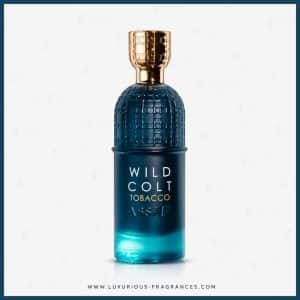 Wild Colt Tobacco od Assaf – parfémová voda pro muže i ženy – 200 ml