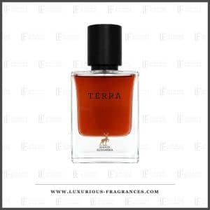 Terra-Flakon von Maison Alhambra, Eau de Parfum, 50 ml, transparentes Glas, brauner Duft, schwarzer Verschluss